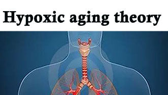 What is the relationship between oxygen and aging - do you know the "hypoxic aging theory"?