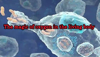 The magic of oxygen in the living body